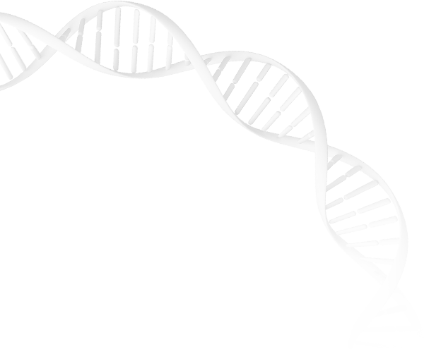 DNA Shape