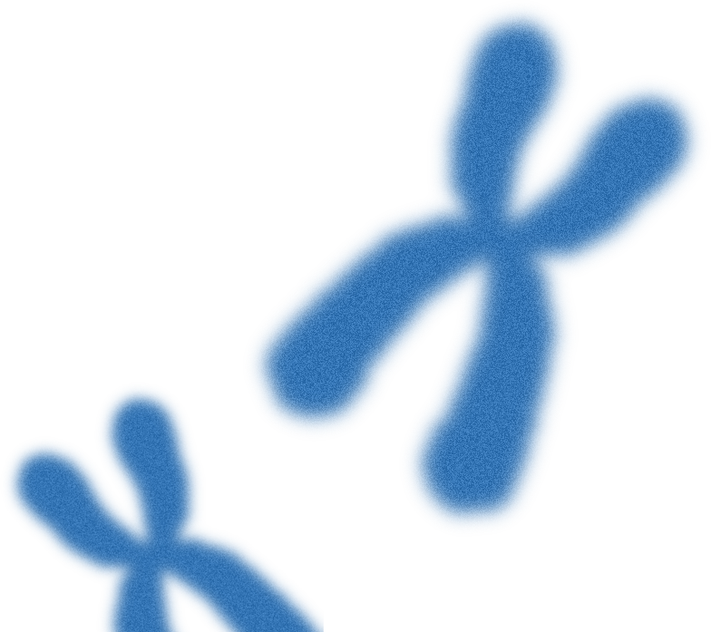 Our Value Shape